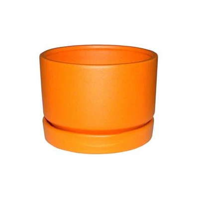 PRUS-DONICZ.*WALEC NISKI 3* ZP