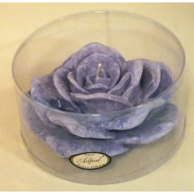 ADPAL-ŚWIECA RÓŻA GIGANT II (TUBUS) WRZOSOWE ŁĄKI