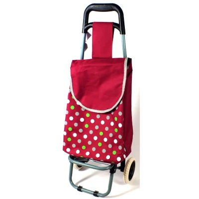 SZ-WÓZEK ZAKUPOWY S134179