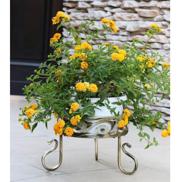 DĄSTAL - STOJAK *I* NISKI ZŁOTY 10-1520