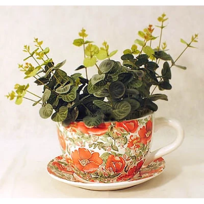 MONDEX-DONICZKA Z/P FILIŻANKA BS1245M DZIKA RÓŻA