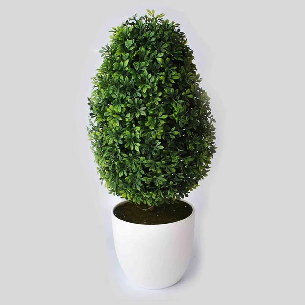 MON-BUKSZPAN W DONICZCE 38CM 8844