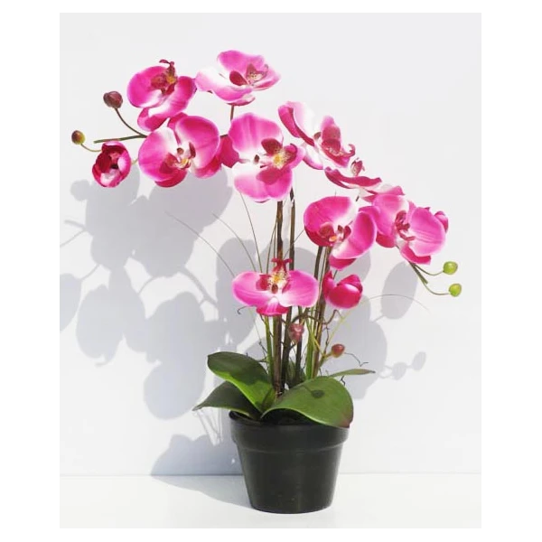 TOM-STORCZYK W DONICZCE 41CM XDT1150