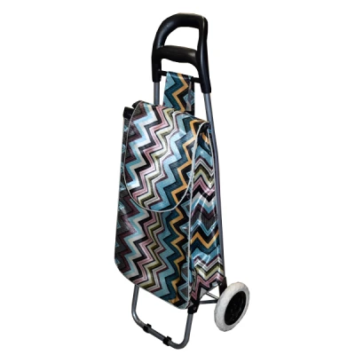 SZ-WÓZEK ZAKUPOWY S171684