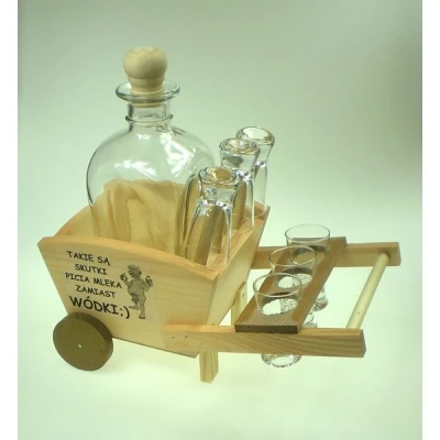 ANAPOL- KARAFKA *SKUTKI PICIA* 479