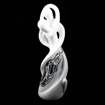 CER-AKT PARA SPLECIONA *DECOR WITRAŻ 1/2 BROKAT BIAŁY* C-896-1/2W