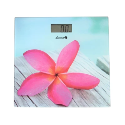 ŁUCZNIK-WAGA ŁAZIENKOWA BS-973 W11