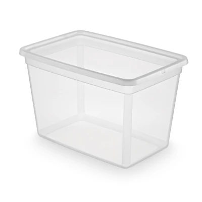POJEMNIK *BASESTORE BOX* 60L Z/P 2731