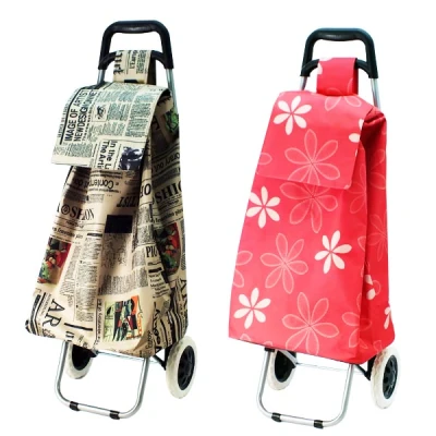 SZ-WÓZEK ZAKUPOWY S151746  95*35