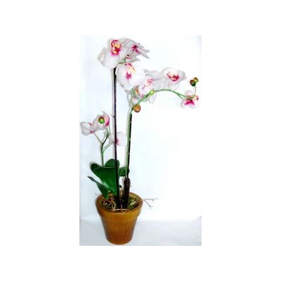 TOM-STORCZ.W DON.53CM XDT5059