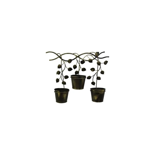 KWIETNIK ŚCIENNY     HS 080062