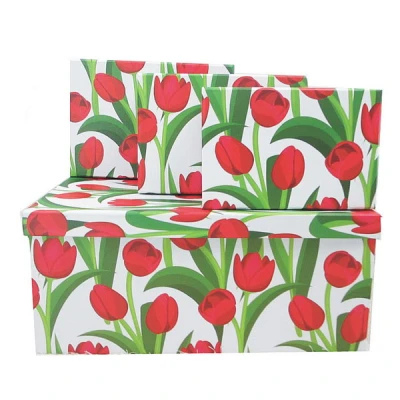 TOM-KPL. 10 PUDEŁEK KART. CBP10_50