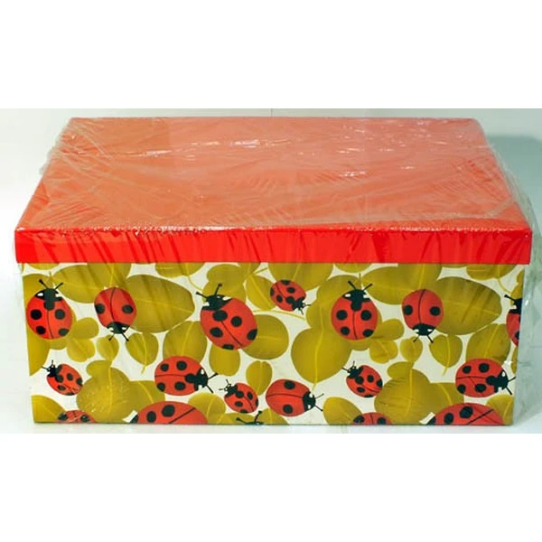 TOM-KPL.10 PUDEŁEK CBP10_07