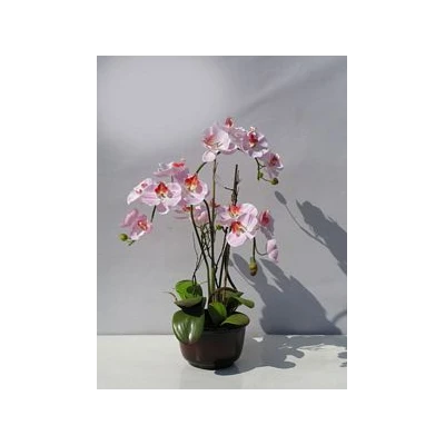 TOM-STORCZ.W DON.60CM XDT1296