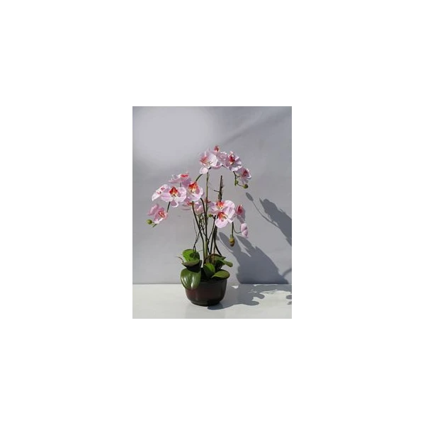 TOM-STORCZ.W DON.60CM XDT1296