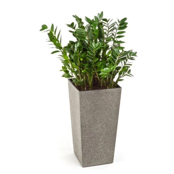 LAMELA- DONICZKA FINEZJA 300*300 SILVER NAKRAPIANA