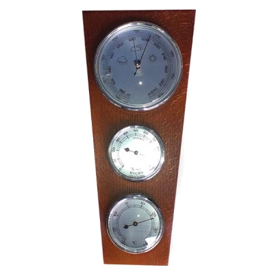 RAM-STACJA POGODY SP3-T