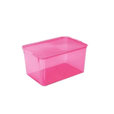 Pojemnik do przechowywania żywności Branq C-Box 5 l