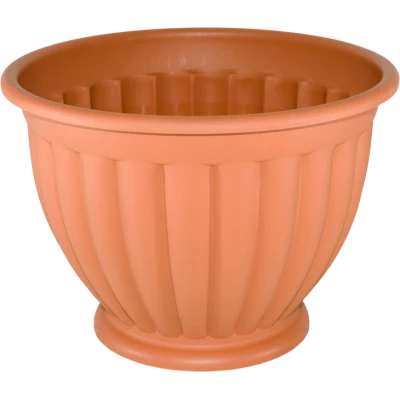 DONICZKA GRECZYNKA *5*    25CM