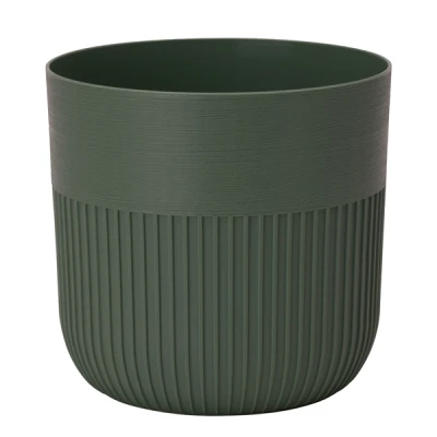 DONICZKA LUCA PETIT 19 ZIELONA HERBATA